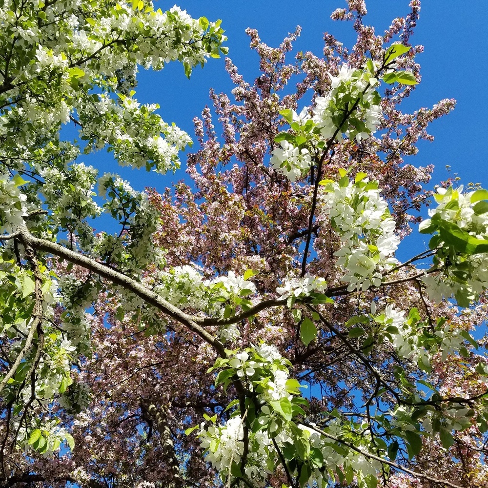 Meet your Posher, Chrissy